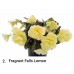 002. Бегония ампельная Fragrant Falls Lemon 