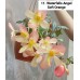 011. Бегония ампельная Waterfalls Angel Soft Orange