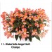 011. Бегония ампельная Waterfalls Angel Soft Orange