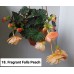 018. Бегония ампельная Fragrant Falls Peach 