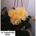 018. Бегония ампельная Fragrant Falls Peach 
