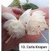 010. Фуксия Carla Knapen