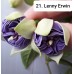 021. Фуксия Lenny Erwin 