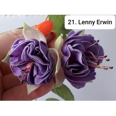 021. Фуксия Lenny Erwin 