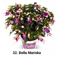 032. Фуксия Bella Mariska
