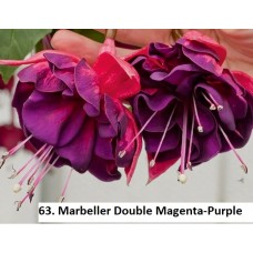 063. Фуксия Marbeller Double Magenta-Purple