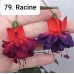 079. Фуксия Racine 