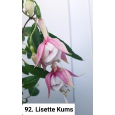 092. Фуксия Lisette Kums