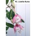 092. Фуксия Lisette Kums