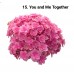 015. Гортензия крупнолистная You and Me Together