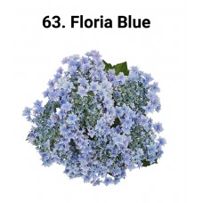 063. Гортензия крупнолистная Floria Blue