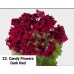 022. Пеларгония королевская Candy Flowers Dark Red