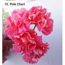 015. Пеларгония плющелистная Pink Chart