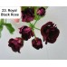 023. Пеларгония плющелистная Royal Black Rose