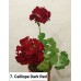 007. Пеларгония межвидовая Calliope Dark Red