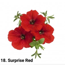 018. Петуния Surprise Red