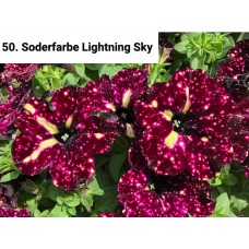 050. Петуния Soderfarbe Lightning Sky